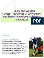 Muscle Squellettique n2