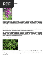 Plantas Medicinales