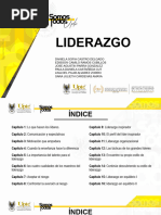 Liderazgo - Parte 1