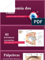 Anatomia Do Olho - Questão 1