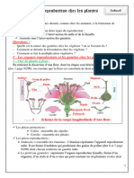 La Reproduction Chez Les Plantes