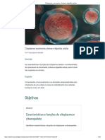 TEMA 3 - Citoplasma - Movimento, Síntese e Digestão Celular