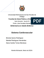 Sistema Cardiaco