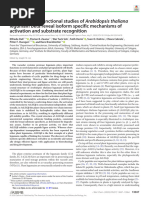 Structural and Functional Studies of em Arabidops