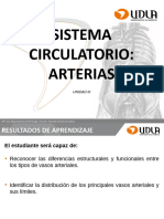 Clase 6 Sistema Circulatorio Arterias Myf101