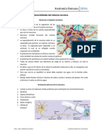 Clase 12 - Anatomia Humana 13-05-2016