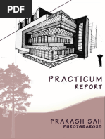 Practicum Final Report