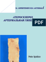 Tema 13. Ateroscleroza HA