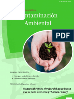 Contaminacion Ambiental