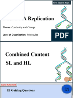 D1.1 DNA Replication