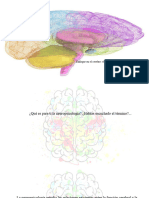 Neuropsicología Enero 2022