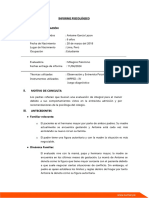 Informe Antoine 1