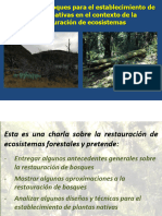 Restauracion Ecosistemas Forestales Nativos