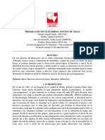 Informe 2 Micro