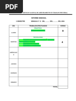 Informe Semanal