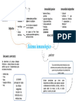 Mapa Conceptual Del Sistema Inmunologico Medina Carranza Yhordy Emerson