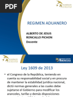 Regimen Aduanero Presentacion