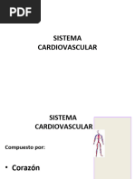 Cardiovascular