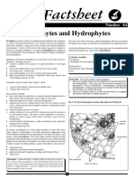 Xerophytes and Hydrophytes