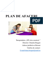 Plan de Afaceri Alina