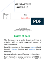 Caste of Bee