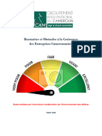 2 Barometre Et Obstacles A La Croissance Des Entreprises Camerounaises