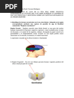 Caso 2 MEDICINA LEGAL