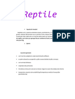 Reptile