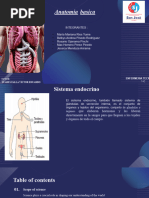 Anatomy & Physiology Lesson For College by Slidesgo (Autoguardado)