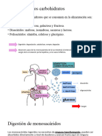 BQ 5.1 Digestión de Los Carbohidratos