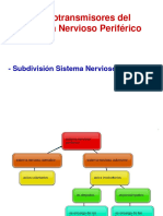 Clase 5, Sist Nervioso Autónomo