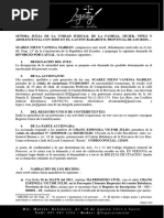 Demanda de Divorcio Por Causal Con Hijos Menores de Edad