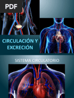 Copia de FUNCIÓN NUTRICIÓN HUMANA CIRCUL Y EXCRE