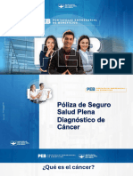 Peb - Vida Grupo Plan Empresarial