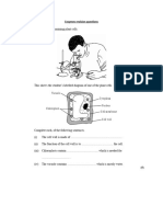 Enzymes Revision Questions