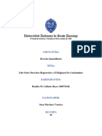 Las Litis Sobre Derechos Registrados