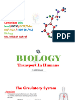 (Chapter 9) Human Transport