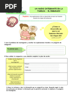 Ficha 2-Mart-Cyt-Un Nuevo Integrante en La Familia El Embarazo