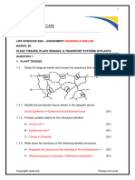 Grade 10 MG - Assignment