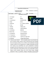 FORMAT KERJA MINERAL PETROLOGI AGRI Fixxxxx