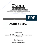 Audit Social