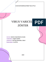 Virus Varicela Zóster