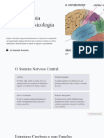 Sistema Nervoso