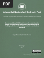 Universidad Nacional Del Centro Del Perú