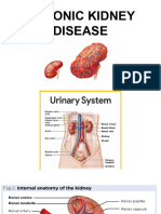 Chronic Kidney Disease