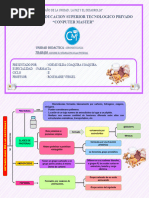 Metabolismo de Las Proteinas