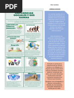 Ciencias Sociales y Su Importancia