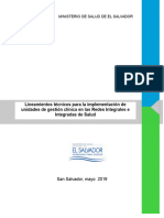 Lineamientos Técnicos para La Implementación de Unidades de Gestión Clínica en Las Redes Integrales e Integradas de Salud