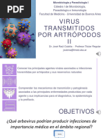 Seminario 10 - Arbovirus II