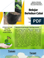 Modul Projek Kearifan Lokal - Belajar Berkebun Cabai - Fase B